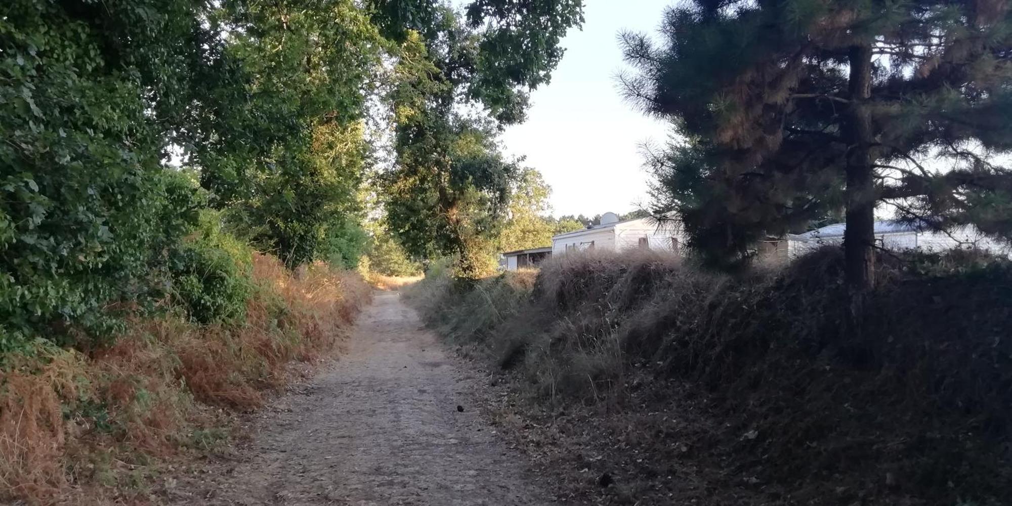 Camping Des Pierres Debout Névez Extérieur photo